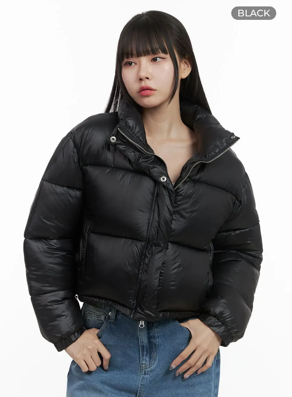 Chic Nylon Crop Puffer Jacket OO401